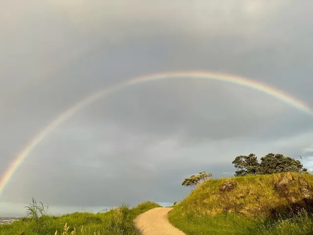 Falling in Love with New Zealand on Day 1 💚