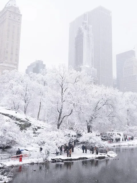Winter in Central Park, NYC | A Complete Guide 🌳❄️