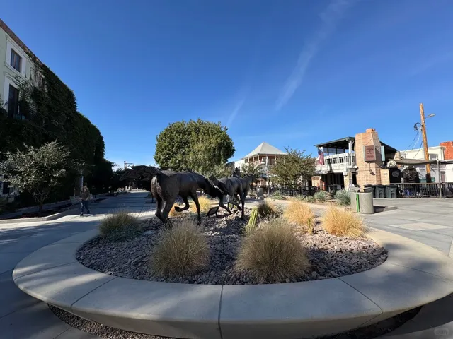 Phoenix Must-Visit Spots You Can't Miss! 🌵📸