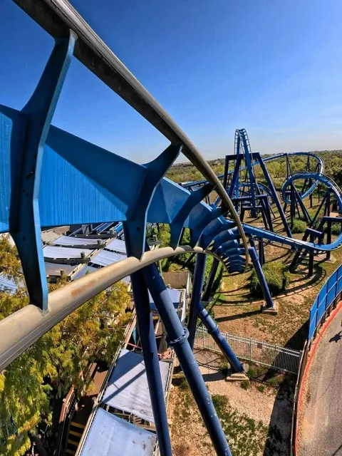 SeaWorld San Antonio: More Than Just Whales! 🐋🎢