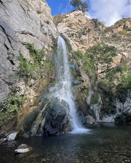 🌿 Rediscovering an Old Favorite: Sturtevant Falls in Springtime