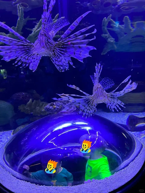 For Kids Who Love Animals: Greensboro Science Center