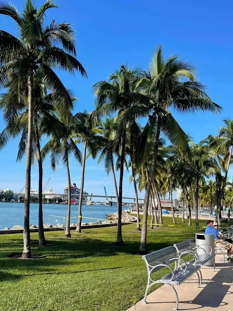 🌴 Miami Post-Vacay Blues: My Brain’s Still on Island Time 😭