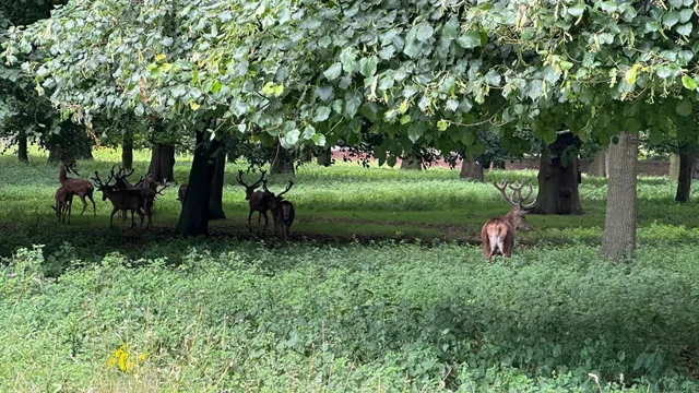 🇬🇧 Nottingham Day Trip Guide | Stunning Wollaton Hall
