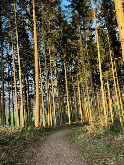 🇩🇪 Aachen | Germany's Border Town Where 3 Countries Meet
