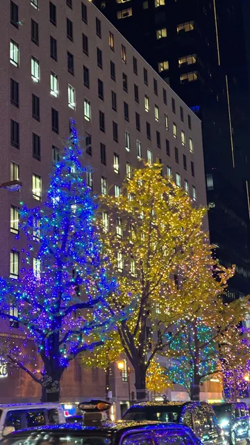 🌸🌺🌿🍃 ⭕ Midosuji Illumination 🌸🌺🌿🍃