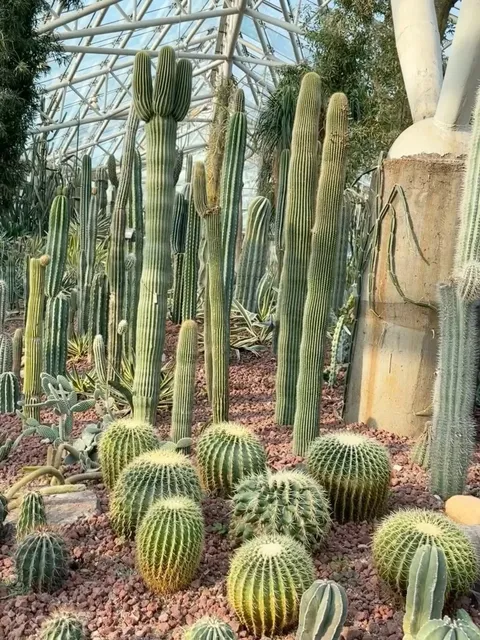Nanjing Zhongshan Botanical Garden: Desert & Rainforest in One Place 
