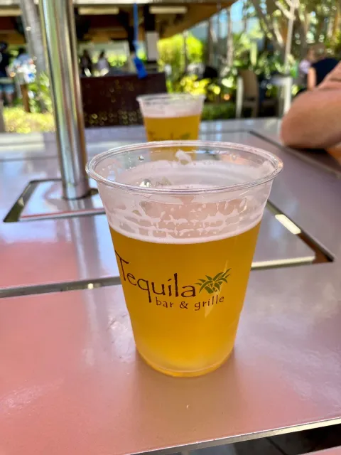 🏊‍♂️ Lunch by the Pool – A Mixed Experience! 🌞