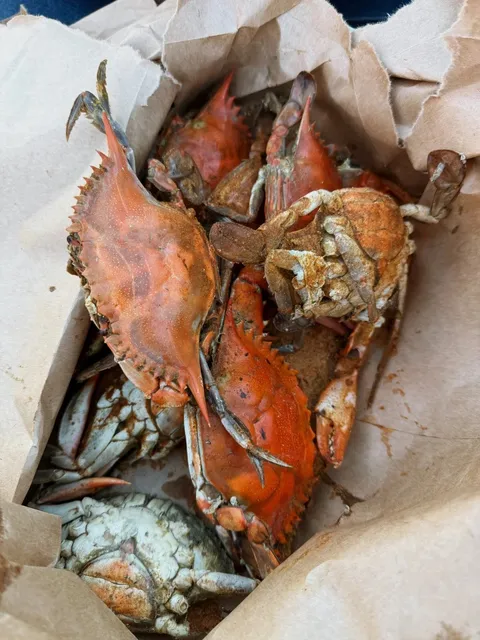 🇺🇸 Probably the CHEAPEST Place for Blue Crabs in DC!