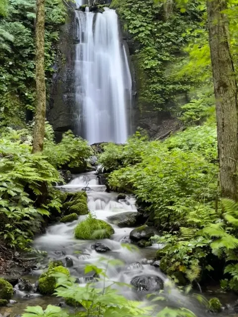 Blown Away by the Oirase River (2)🌊