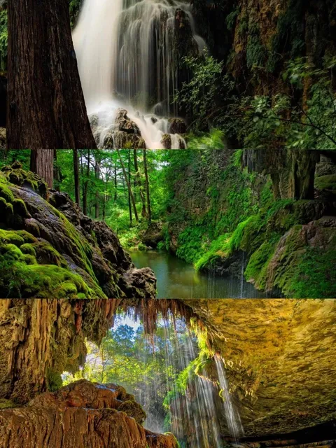 Houston Surroundings