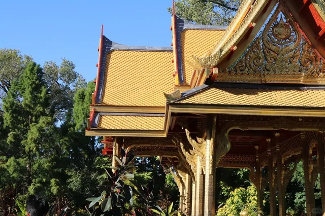 🌿 Madison Life | Catching the Last Bit of Green 