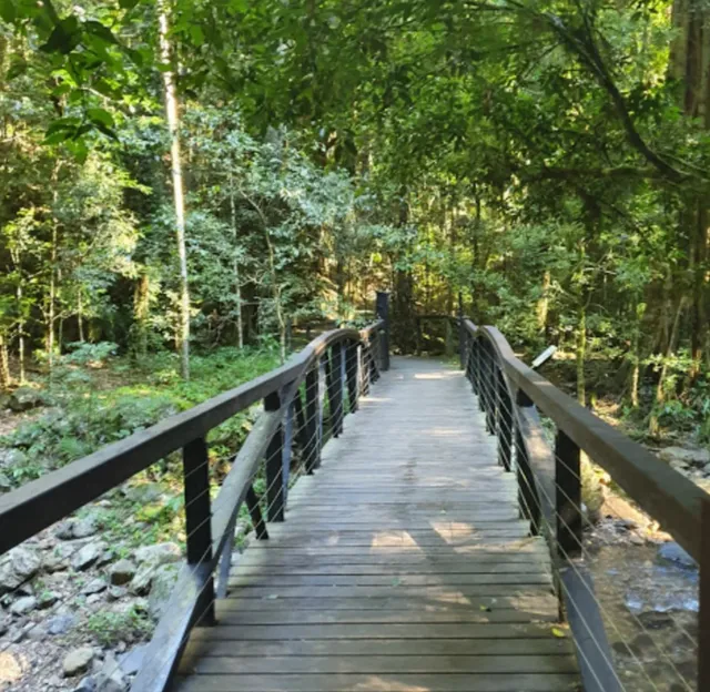  Virginia's Natural Bridge: A 215-Foot Geological Marvel 🌉✨
