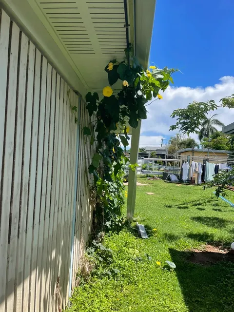 Rockhampton: Australia's Remote Gem That Steals Hearts 🐮🌿