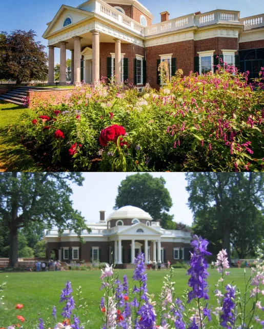 Best Spring Flower Spots in Virginia 🌸🌞