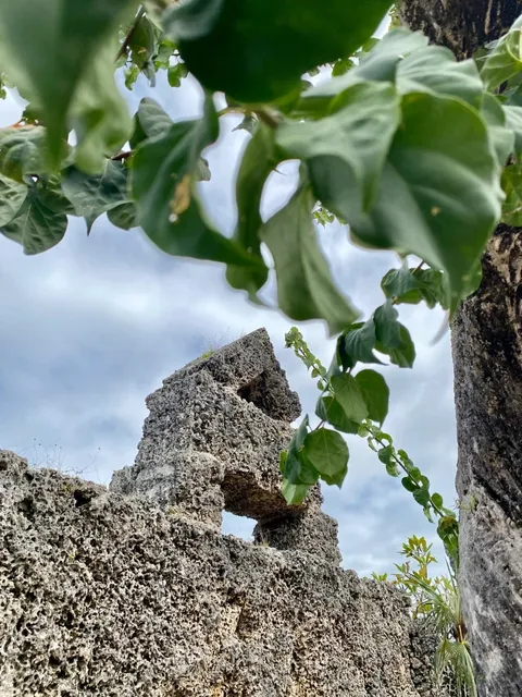 🏰Coral Castle: Mystery, Heartbreak, and a Monument to Unrequited Love