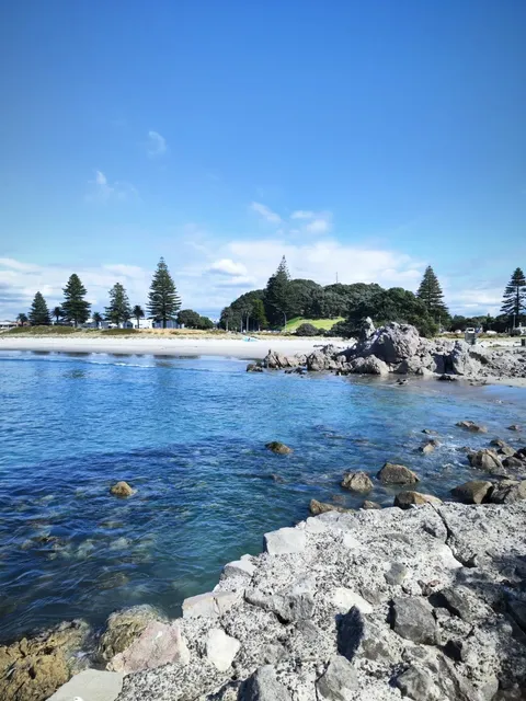 ❤️Tauranga Day Trip  