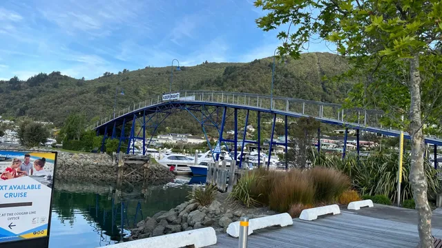 🇳🇿 Picton: The Charming Gateway to New Zealand's South Island