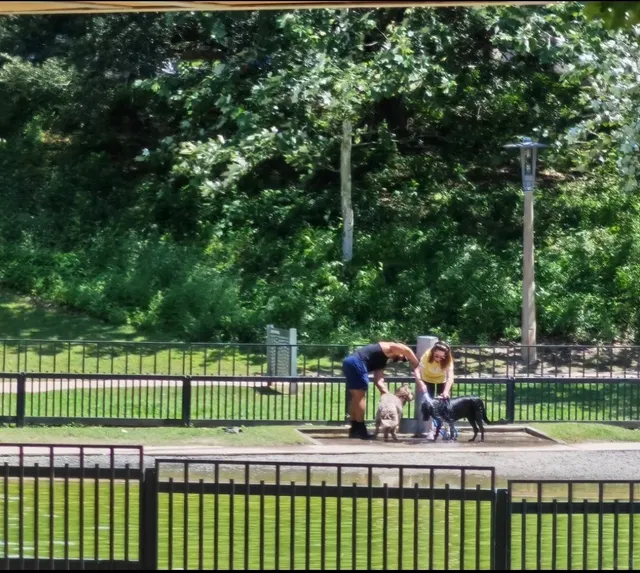 🌿 Buffalo Bayou Park – Houston’s Urban Oasis 🏙️
