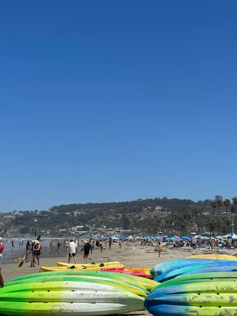 🦈 The Perfect Start to Your San Diego Adventure! 🌊