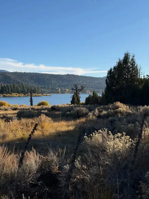 Big Bear Lake: Catching the Last Glimpse of Autumn 🍂