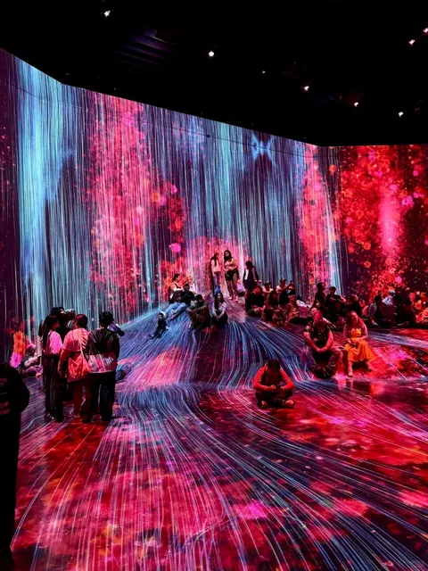 Tokyo Art Exhibition | Teamlab Borderless - A Must-Visit! 🌟