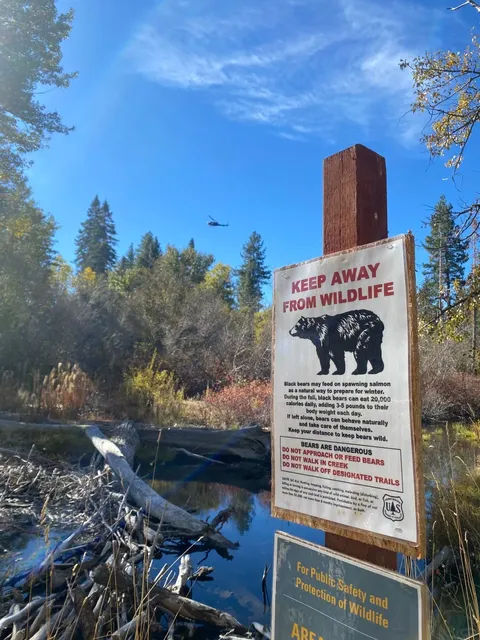 🌟 Lake Tahoe Autumn Trip / Salmon Run 🌟