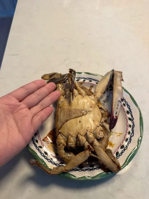 Atlanta | I Finally Found Fresh Korean Soy Marinated Crab! 🦀🎉