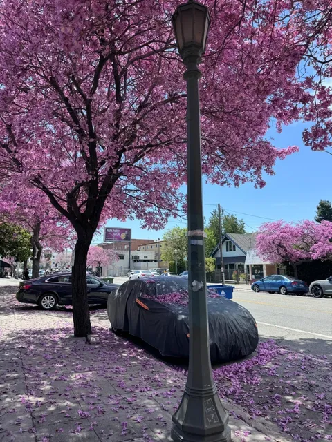 LA / The Perfect Spot for a Spring Outing & Brunch & Sunshine 🌸☀️