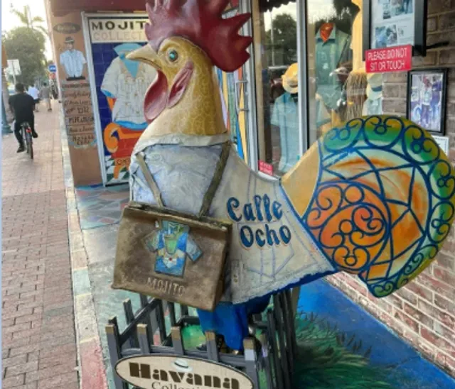 ​​Miami Photo Guide | Best Instagram Spots​​ 📸🌴