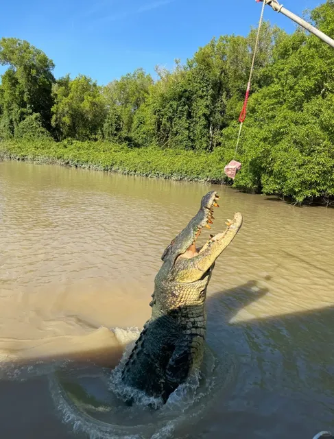 🇦🇺 Darwin, Australia – Where Wilderness Meets Wonder 🌿