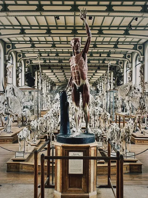 Daily Share | No.4 🇫🇷 National Museum of Natural History 