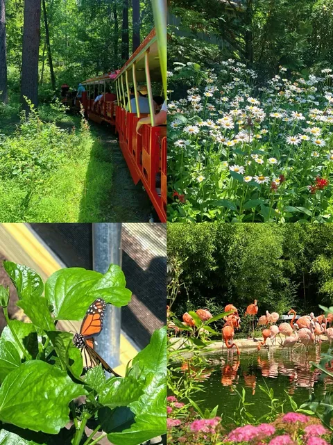 ​​New Jersey | Turtle Back Zoo - A Picture-Perfect Day Out! 🦒📸​​