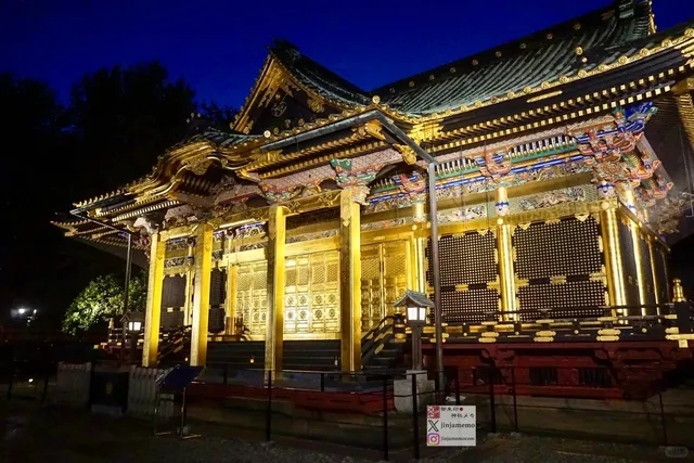 Ueno Peonies in Full Bloom! (2)🌺