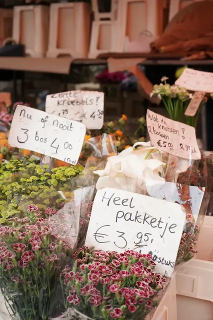 🇳🇱 Haarlem: The Perfect Dutch Town for a Relaxing Escape