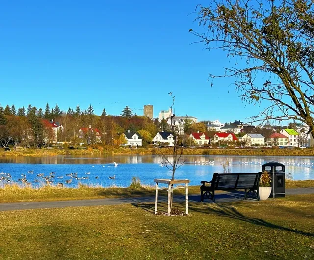 A Peaceful Oasis in Reykjavík: Tjörnin Lake & the National Museum