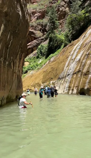 🏞️ Road Trip & Camping Guide: Stop 15 - Zion National Park
