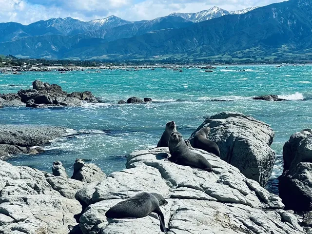 🇳🇿 New Zealand Travel Guide