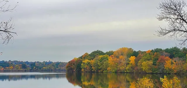 Fresh Pond - Where Autumn Paints the Water Gold 🍂🌊  