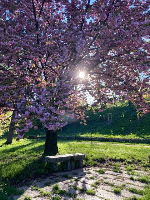 Springtime in Milan | Parco Monte Stella 🌸