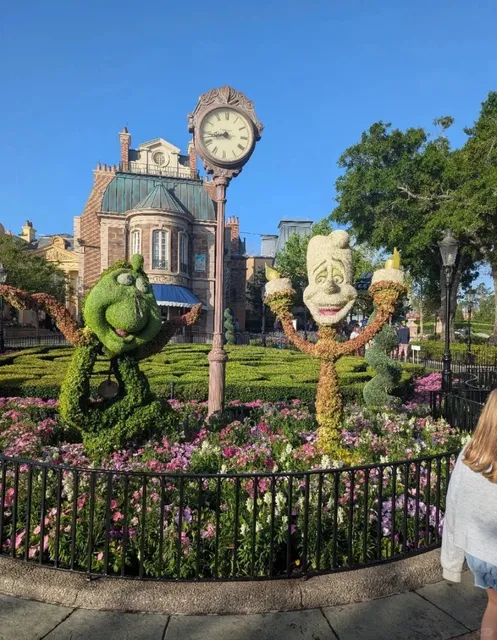 How to Maximize Your Magic! 