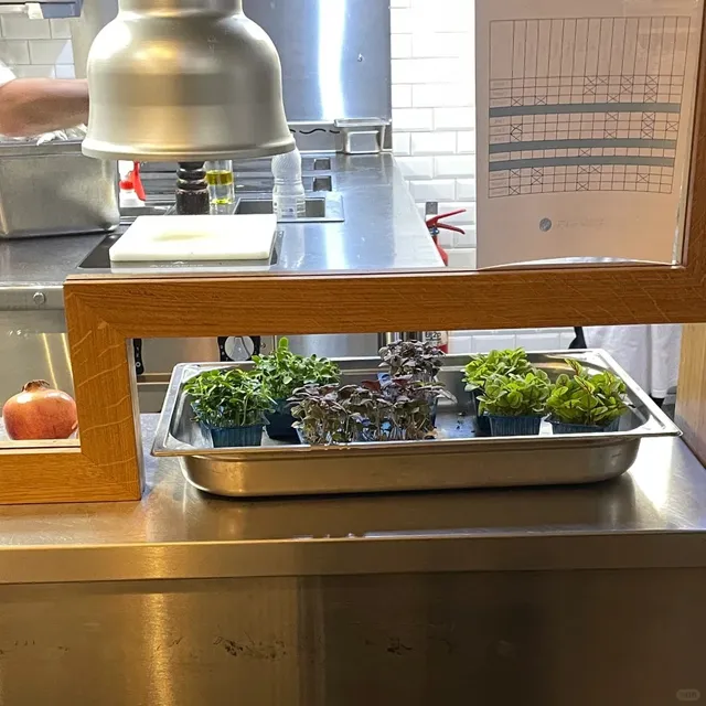 🍽️ Lyon French Cuisine | Le Jean Moulin