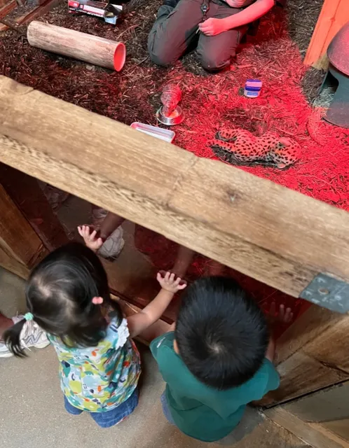 Dallas | How I Spent a Stay-Local Fourth-of-July Long Weekend