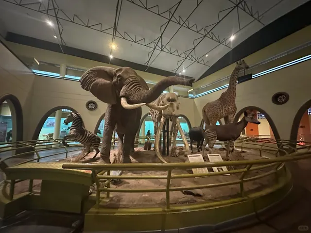 My Perfect Day in Nairobi! ✈️