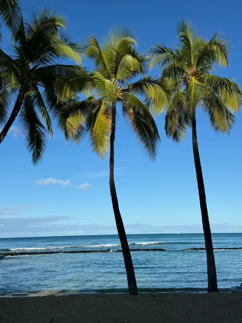 Waikīkī is Beautiful, But Not My Favorite Beach Destination 🏖️💭