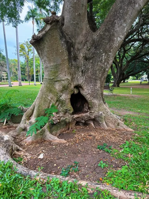 Darwin Botanic Gardens: A Quiet Tropical Escape 🌿☀️