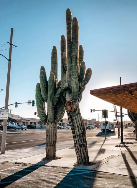 🚗 Unlock Palm Springs: 6 Hidden Desert Gems You Can’t Miss! 🔥