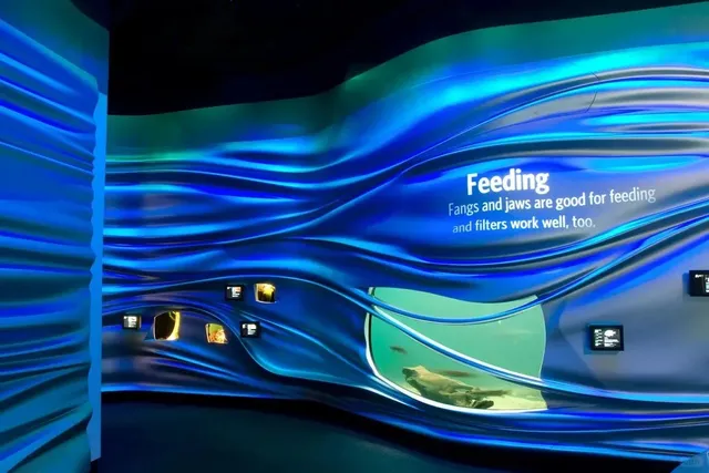 🌊✨ Dive into Aquatic Wonders: Steinhart Aquarium 🐠🔮