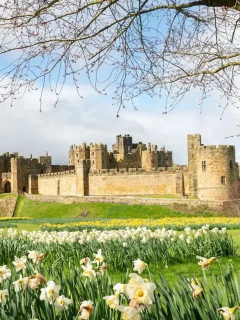 🇬🇧 90% Int'l Students Miss This Hidden Gem... 😱