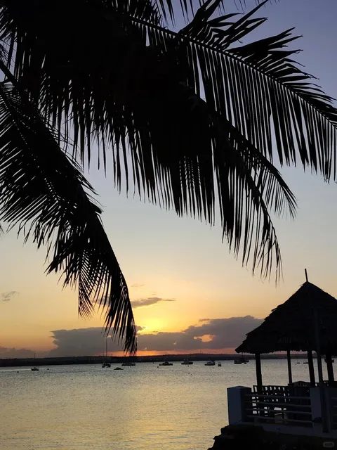 🇹🇿 Tanzania | Sunset Magic at Slipway